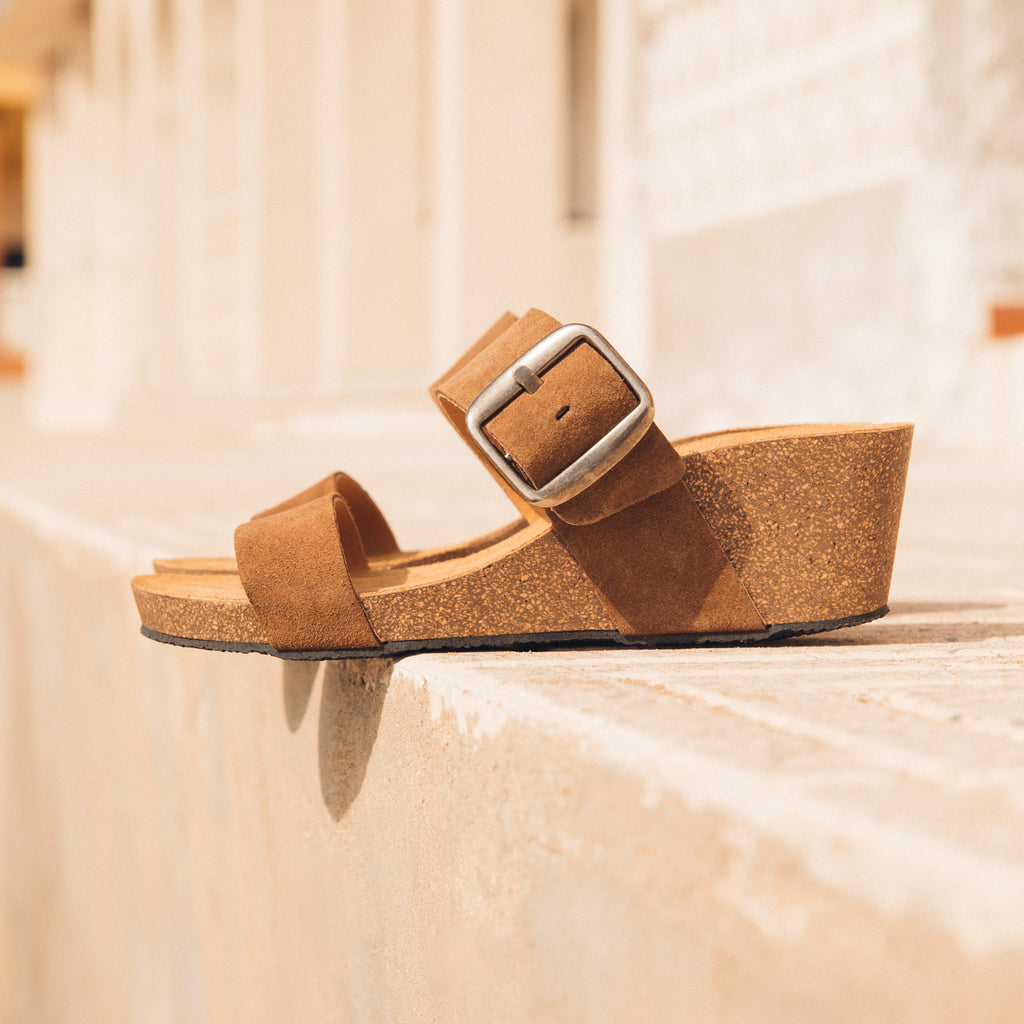 Plakton | Cork harvesting